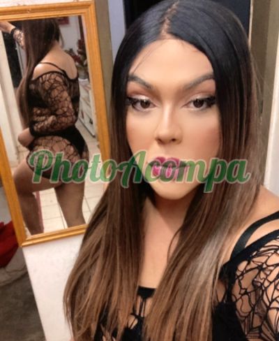 Paola Pasolini (51) 98032-0494, Transex em Porto Alegre
