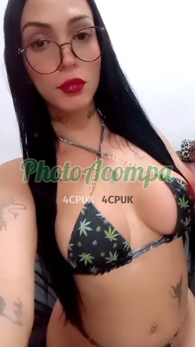 Ninfafada (16) 99327-2291, travesti em Ribeirão Preto
