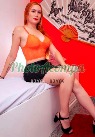 Maria Ruiva e Branquinha (65) 99243-9935, trans na Zona Norte (RJ)