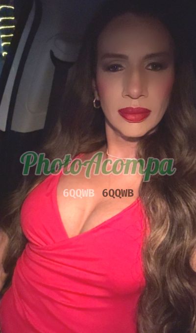 Vivi Ferreira (11) 99705-8253, trans em São Roque