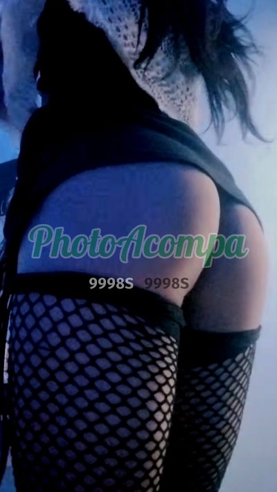 Cristal (11) 95356-6358, trans em Campinas