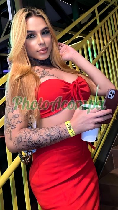 Manu Pavanelli (16) 98192-0192, Travesti em Florianópolis