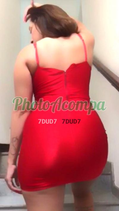 Aylla Pernambucana, escort em Santo Amaro (SP)