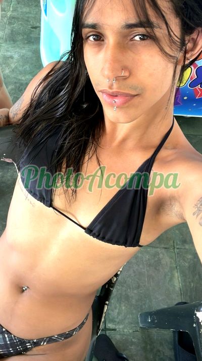 Pamela Freitas (11) 96716-4240, Transex em Mogi das Cruzes