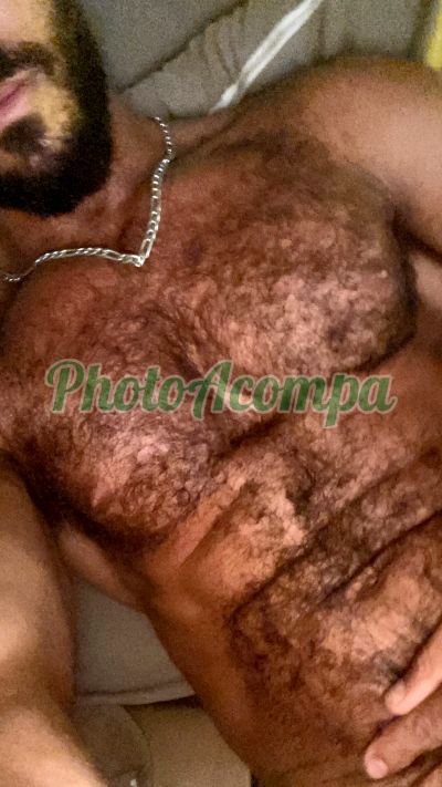 Zeus, garoto de programa em Campo Grande
