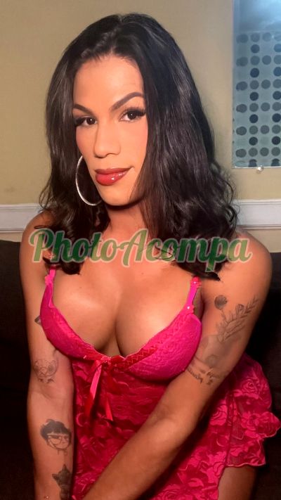 Luiza (11) 95339-1220, travesti na Vila Mariana (SP)