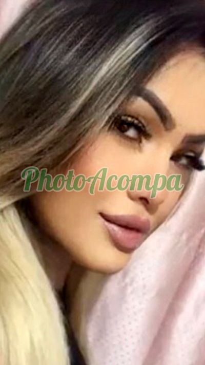 Rielly Santos (11) 91716-5950, Travesti em Santo André (ABC Paulista)
