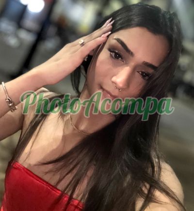 Helena (11) 99463-2554, Travesti em Guarulhos