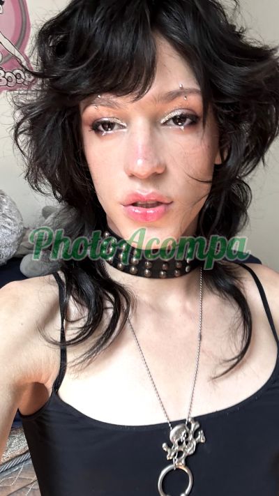 Stefany (12) 99168-6720, transex em Bela Vista (SP)
