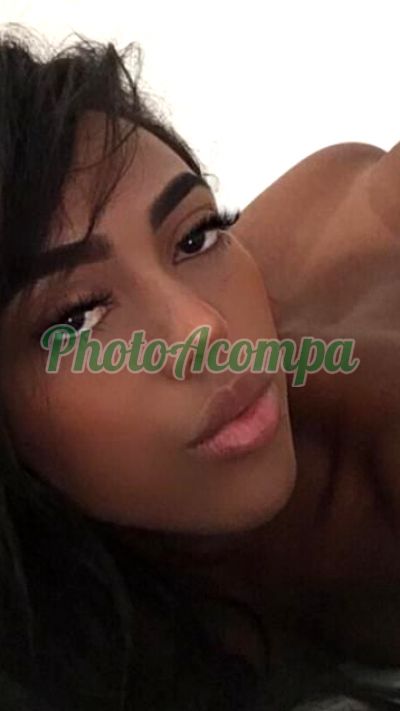 Camily, escort em Ribeirão Preto