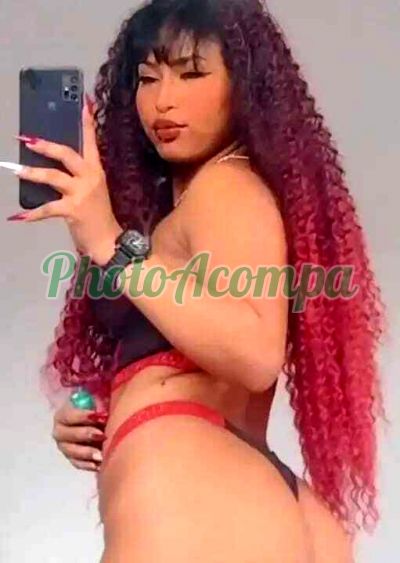 Daylla Burguesa (11) 98819-7582, Escort em Itapevi