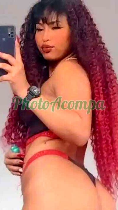 Daylla Burguesa (11) 98819-7582, Escort em Itapevi