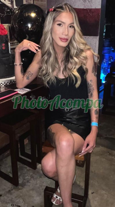 Bela Angel (92) 99324-6277, transex em Manaus