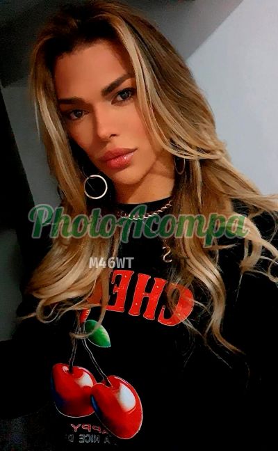 Garota Capixaba, trans em Florianópolis