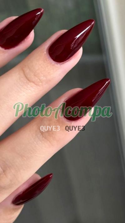 Sofia, escort em Manaus