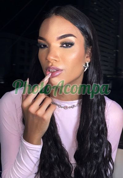 Vicky Louise (81) 98714-6767, trans em Caruaru