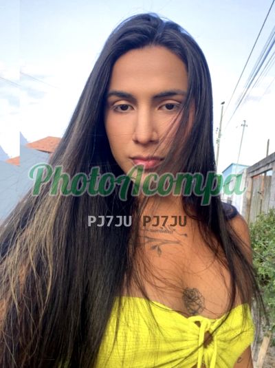 Waylla Coimbra (91) 98043-7779, trans em Castanhal