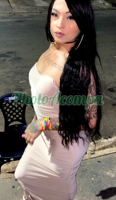 Safira Safadinha, transex em Campo Grande