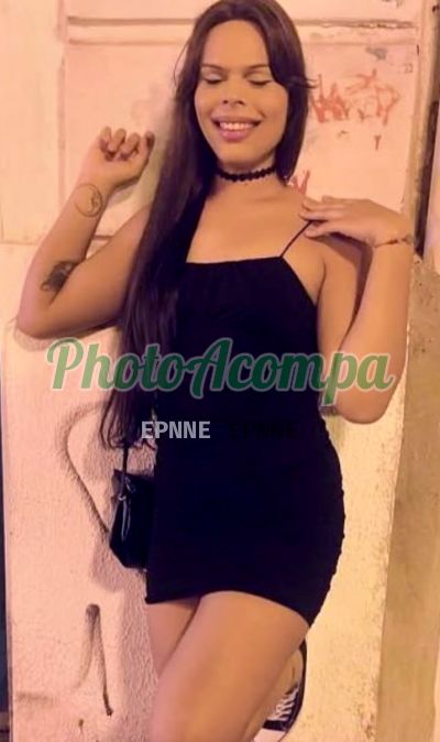 Sarinha Sfd (81) 99549-6530, transex em Ribeirão Preto