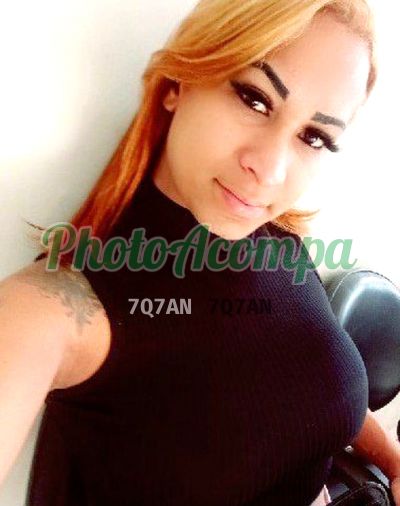 Gabrielly 19cm suculenta, travesti em Atibaia