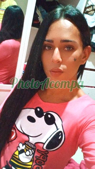 Rebeca Trans (43) 99679-6301, transex em Ponta Grossa