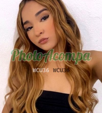 Sophia (21) 98403-9772, travesti no ABC Paulista