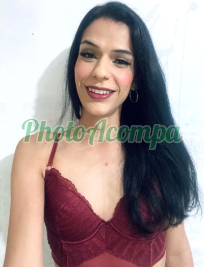 Sophia Silva (11) 91631-0440, trans em São Paulo