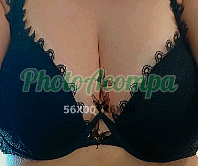 Marina Ortega (11) 97206-4303, garota de programa em São Caetano do Sul (ABC Paulista)