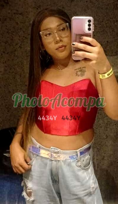 Vicki (19) 99373-8034, trans em Mogi Guaçu