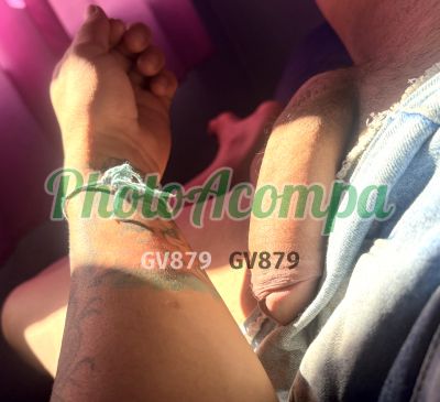 Darphinny (51) 99209-1162, transex em Porto Alegre