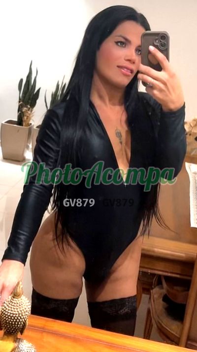Darphinny (51) 99209-1162, transex em Porto Alegre