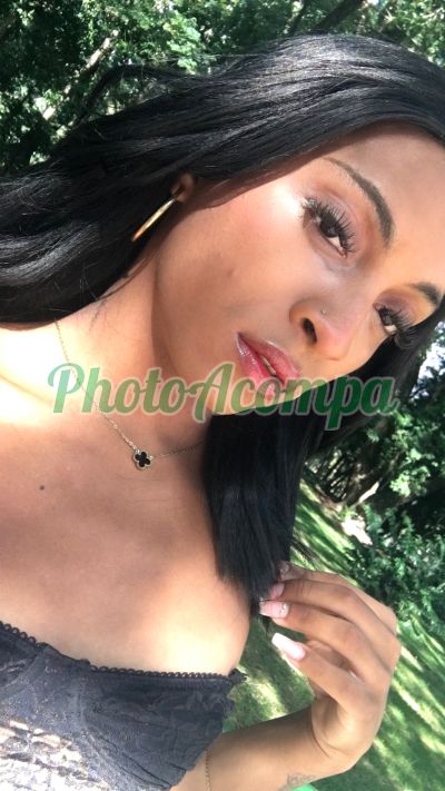Ariely (51) 98951-1596, trans em Porto Alegre