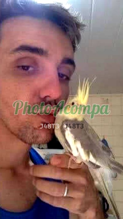 Cleber André (48) 98879-6377, garoto de programa em Palhoça