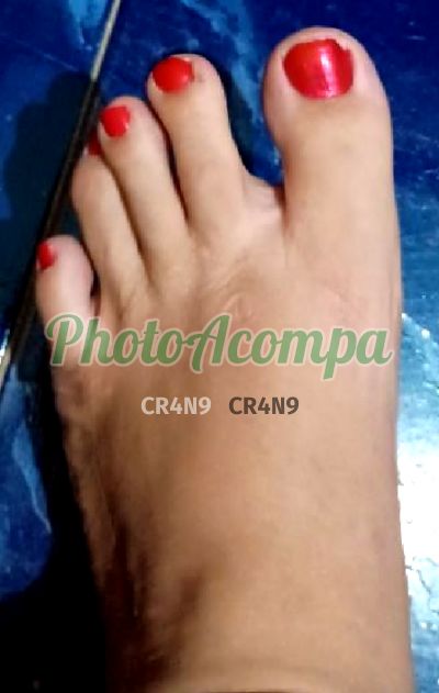 Scarlett Súcubos (21) 98057-2703, trans em Queimados