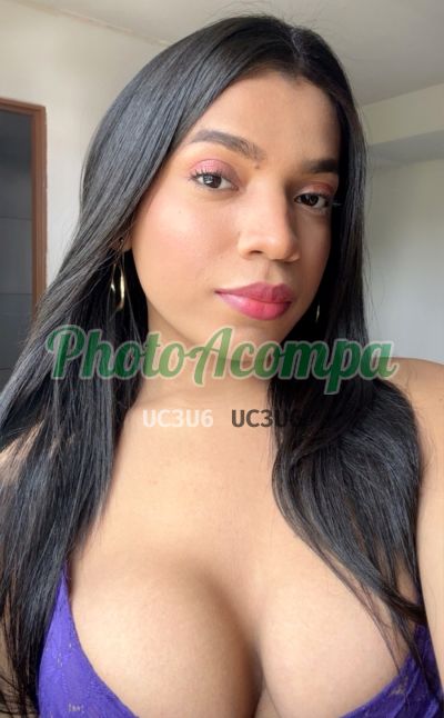 Brenda (61) 99441-8335, transex em Mogi Guaçu