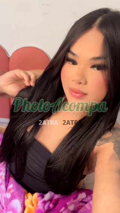 Eduarda (34) 99172-5514, transex no Centro (Goiânia)