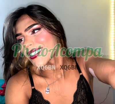 Ángel (11) 96142-0256, transex em Bragança Paulista