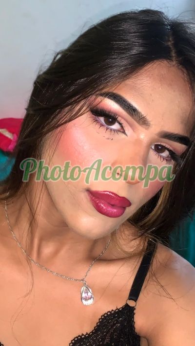 Ángel (11) 96142-0256, travesti em Bragança Paulista