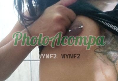 Gabizinha (14) 98137-9677, transex em Marília