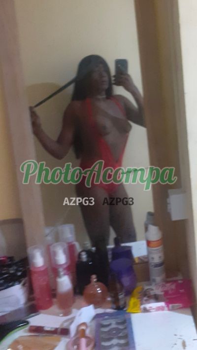 Duda (22) 97401-0136, transex em Mogi Guaçu