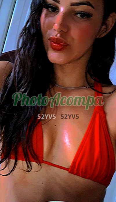 Ninfa (19) 97419-8114, garota de programa em Campinas