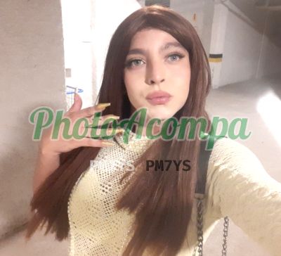 Duda Marquesa (48) 98817-0885, travesti em Balneário Camboriú
