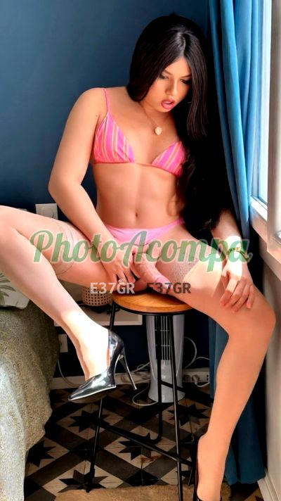 Thalita Torres (19) 99288-7514, transex em São José dos Campos