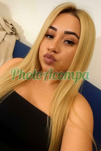 Evelyn (19) 93624-6175, escort em Ribeirão Preto