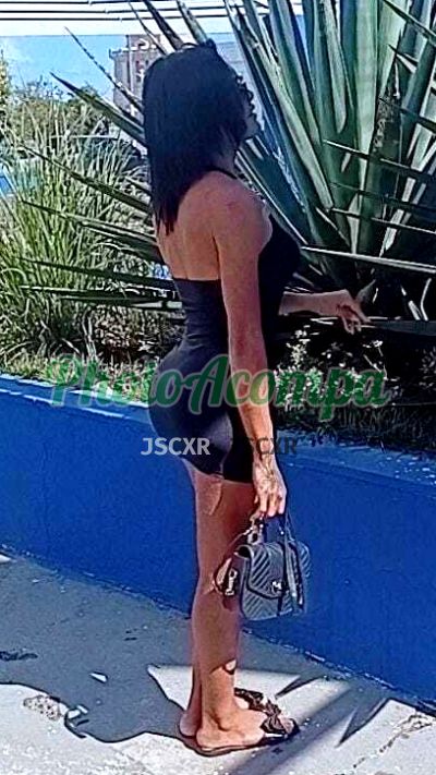 Ninfeta Desejada, transex em Campinas
