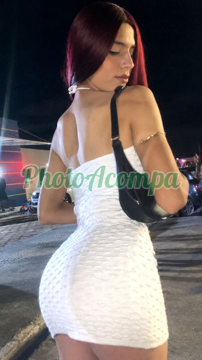 Acompanhante (81) 99568-4809, transex em Paulista