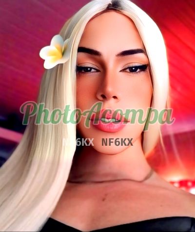 Sofia Queiroz (15) 99626-8520, travesti em Itapetininga