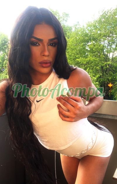 Lara Ferrari (81) 99614-6202, trans em Guarulhos