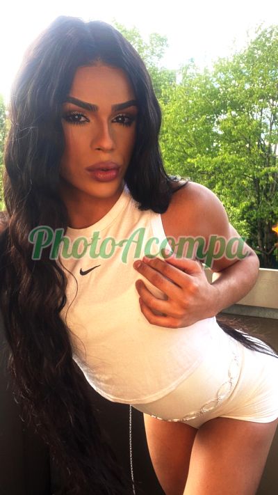 Lara Ferrari (81) 99614-6202, trans em Guarulhos