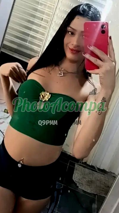 Evelyn Sabrina (19) 99641-1736, travesti em Campinas